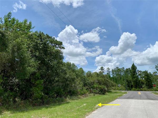 LOT 22 ALDER CT, Eustis, FL 32736