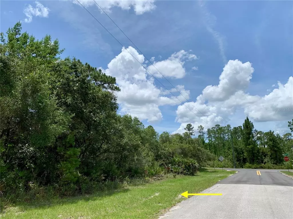 Eustis, FL 32736,LOT 22 ALDER CT