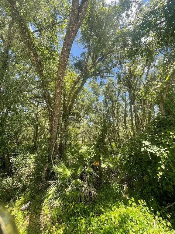 Webster, FL 33597,SOFTSTONE DR