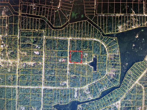 Webster, FL 33597,34183 CARPENTER CIR