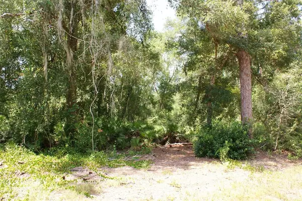 Bushnell, FL 33513,W COUNTY ROAD 48