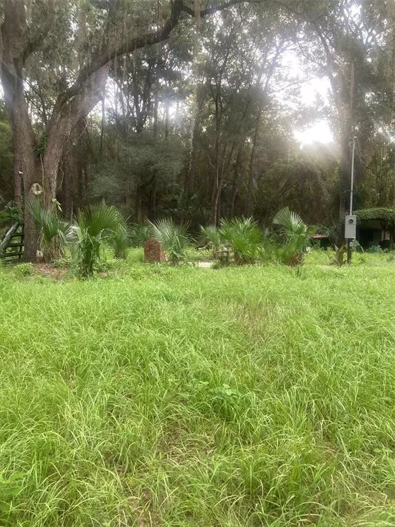 22509 WILL MURPHY RD, Umatilla, FL 32784
