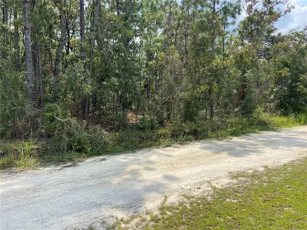 Weeki Wachee, FL 34614,0 SENECA RD