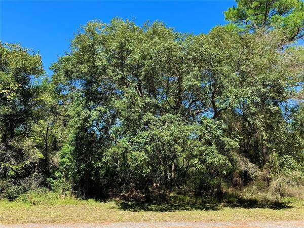 Lot 15 APRICOT AVE, Eustis, FL 32736