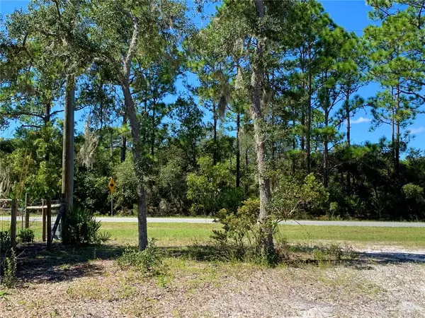 Eustis, FL 32736,Lot 10 ROYAL TRAILS RD