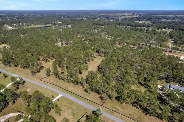 Eustis, FL 32736,35340 PINEGATE TRL