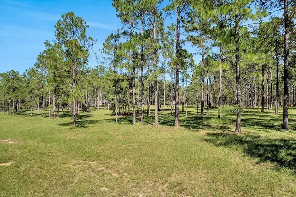 Eustis, FL 32736,35340 PINEGATE TRL