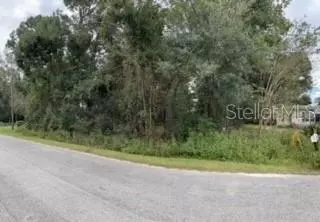 Summerfield, FL 34491,TBD SE 154TH LN