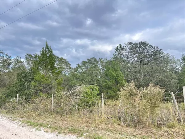 Eustis, FL 32736,0 ILEX TRL