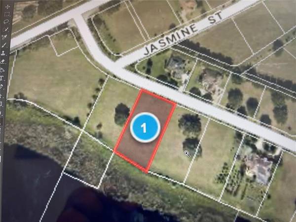 ROYAL PALM DR, Groveland, FL 34736