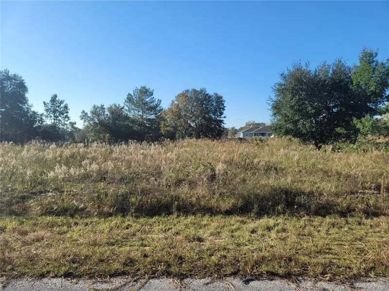 TBD MALAUKA DR, Ocklawaha, FL 32179