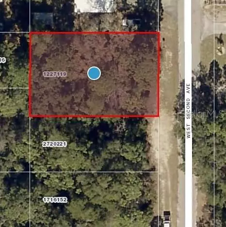 W 2ND AVE, Umatilla, FL 32784