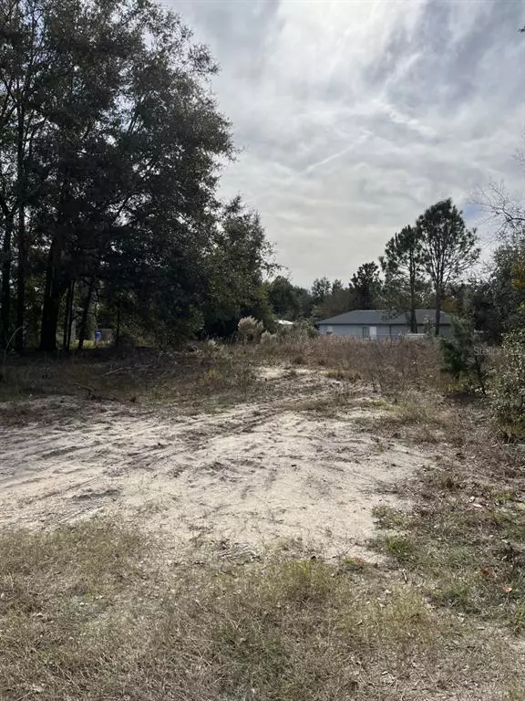 Summerfield, FL 34491,0 SE 158 STREET