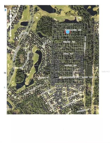 LOTS 42, 43, 44 CHASE CT, Mount Dora, FL 32757