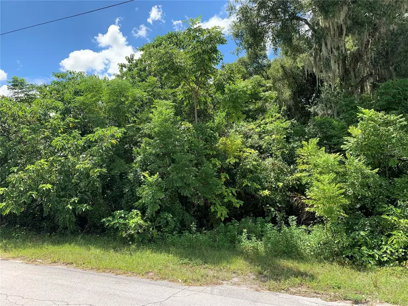 COUNTY ROAD 144, Wildwood, FL 34785