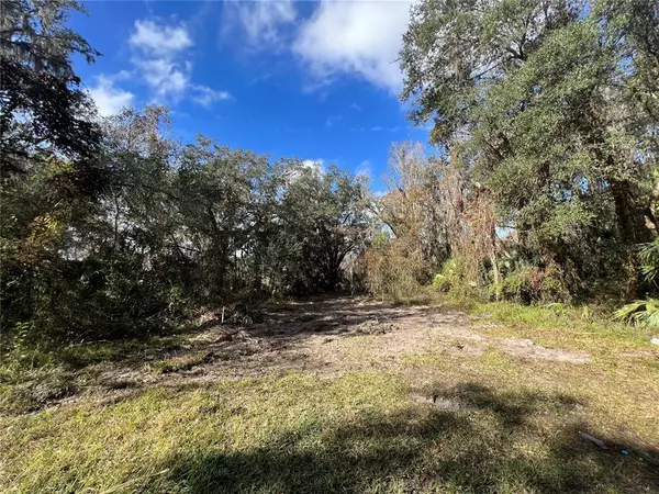 2850 CR 426E, Lake Panasoffkee, FL 33538