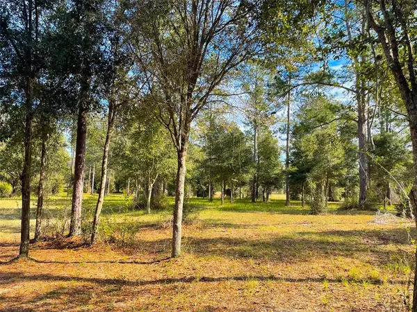 Groveland, FL 34736,FALABELLA CT