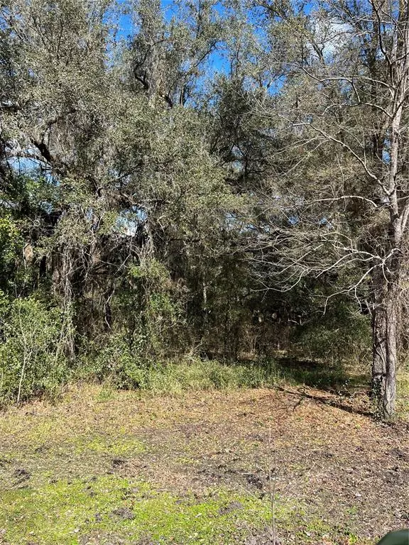 Bushnell, FL 33513,0 SE 44TH PLACE