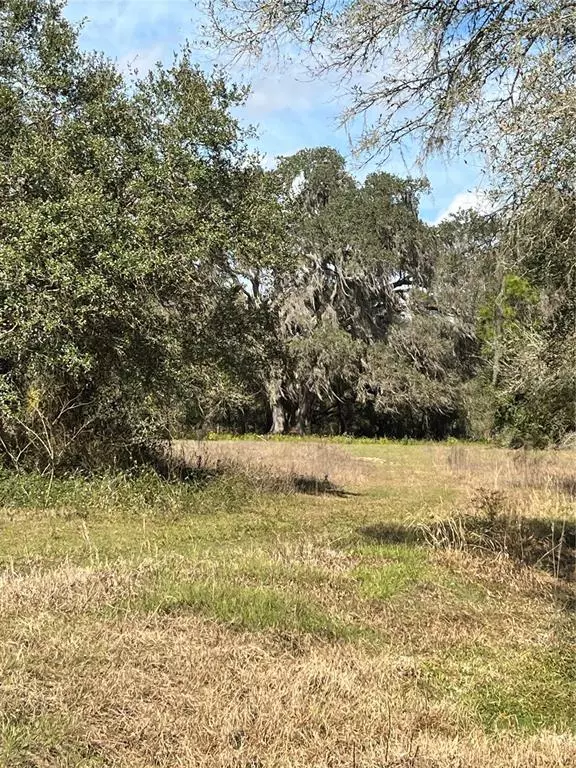 Bushnell, FL 33513,0 SE 44TH PLACE