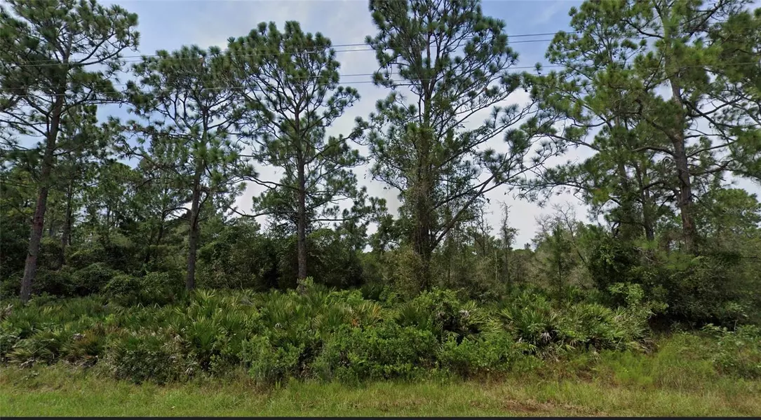 ROYAL TRAILS RD, Eustis, FL 32726