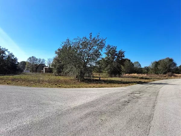 Clermont, FL 34714,OCILLA-LOT #99 LOOP