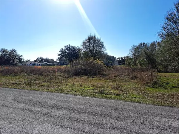 Clermont, FL 34714,OCILLA-LOT #99 LOOP