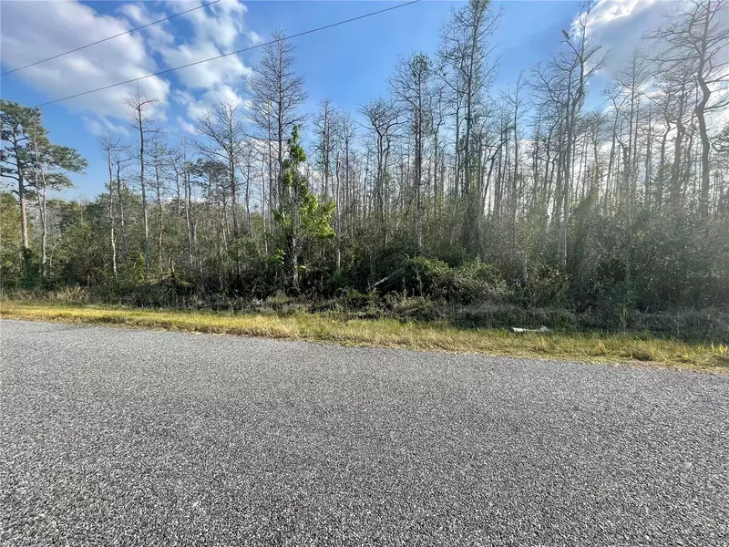 ATLANTA DR, Saint Cloud, FL 34773