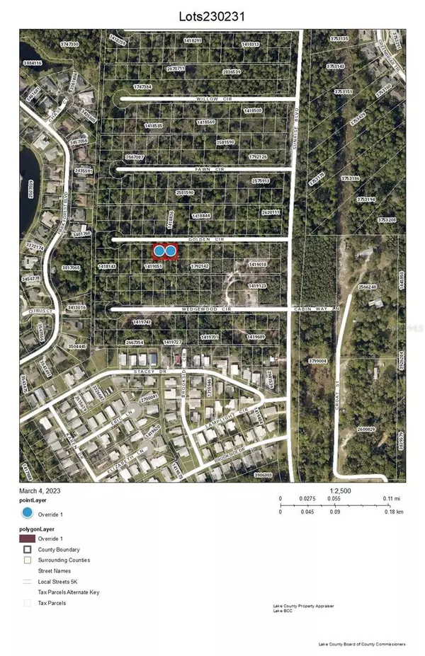 BROOKSIDE - LOTS 230 & 231 CIR, Mount Dora, FL 32757