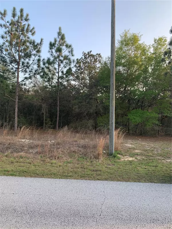 Dunnellon, FL 34431,SW TIGER LAKE BLVD