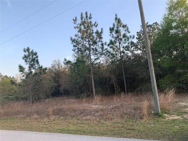 Dunnellon, FL 34431,000 SW TIGER LAKE BLVD