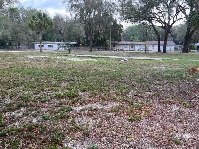 946 CR 483A, Lake Panasoffkee, FL 33538