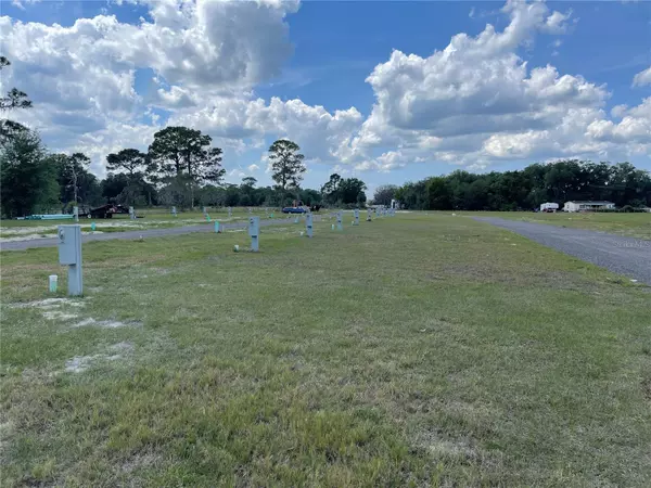 Lake Panasoffkee, FL 33538,1914 N COUNTY ROAD 470