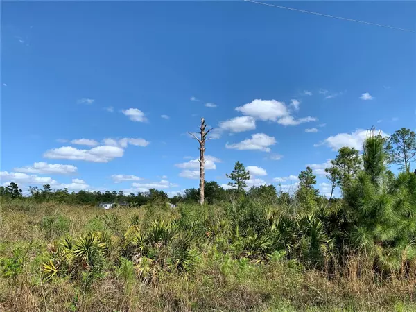 Lot 32 APRICOT AVE, Eustis, FL 32736