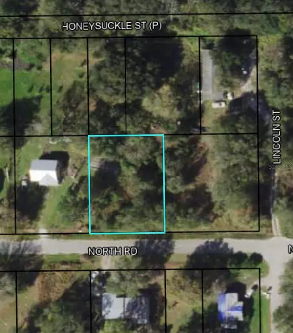 343 NORTH RD, Wauchula, FL 33873