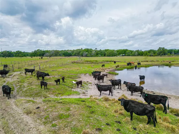 Lake Panasoffkee, FL 33538,N C 470