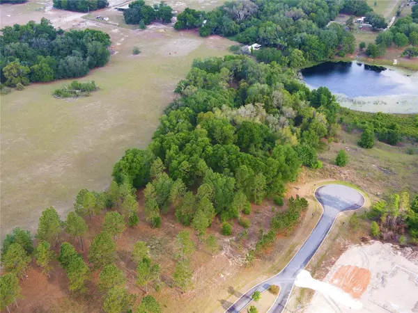 Lady Lake, FL 32159,LOT 10 DARLINGTON AVE