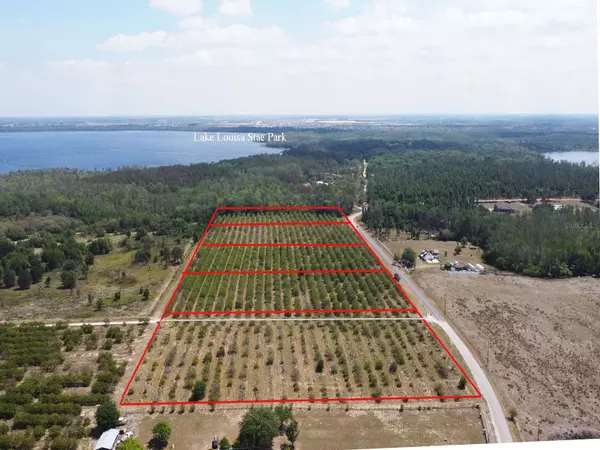 LAKE NELLIE RD, Clermont, FL 34711