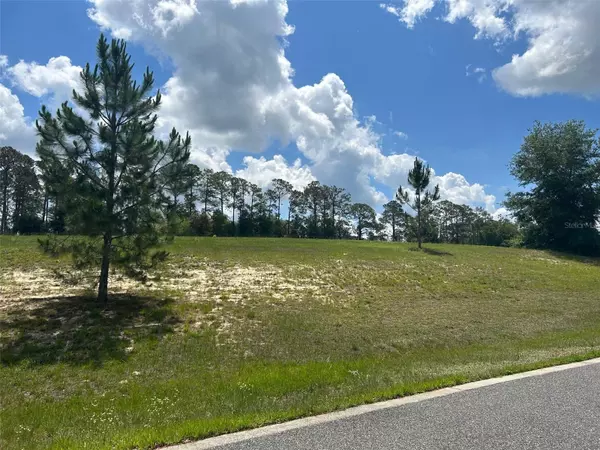 Weirsdale, FL 32195,41510 SADDLE RIDGE LN