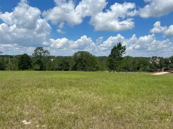 Weirsdale, FL 32195,41510 SADDLE RIDGE LN