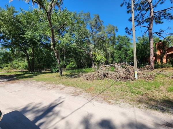 40932 W 3RD AVE, Umatilla, FL 32784