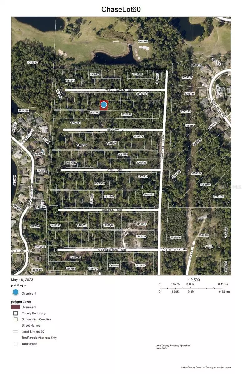 Mount Dora, FL 32757,CHASE LOT 60 CT