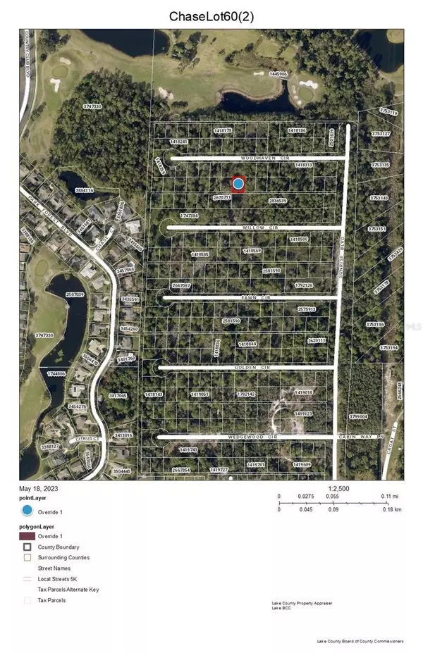 Mount Dora, FL 32757,CHASE LOT 60 CT