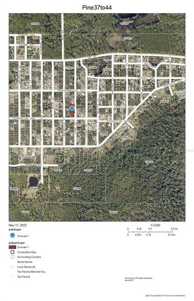 Lot 37-44 PINE ST, Paisley, FL 32767