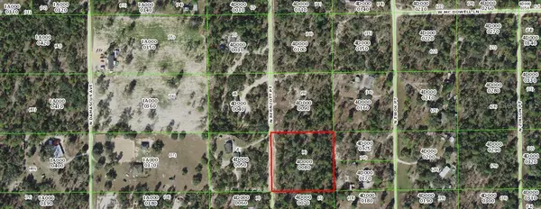 Dunnellon, FL 34433,6597 N BERNZOTT PT