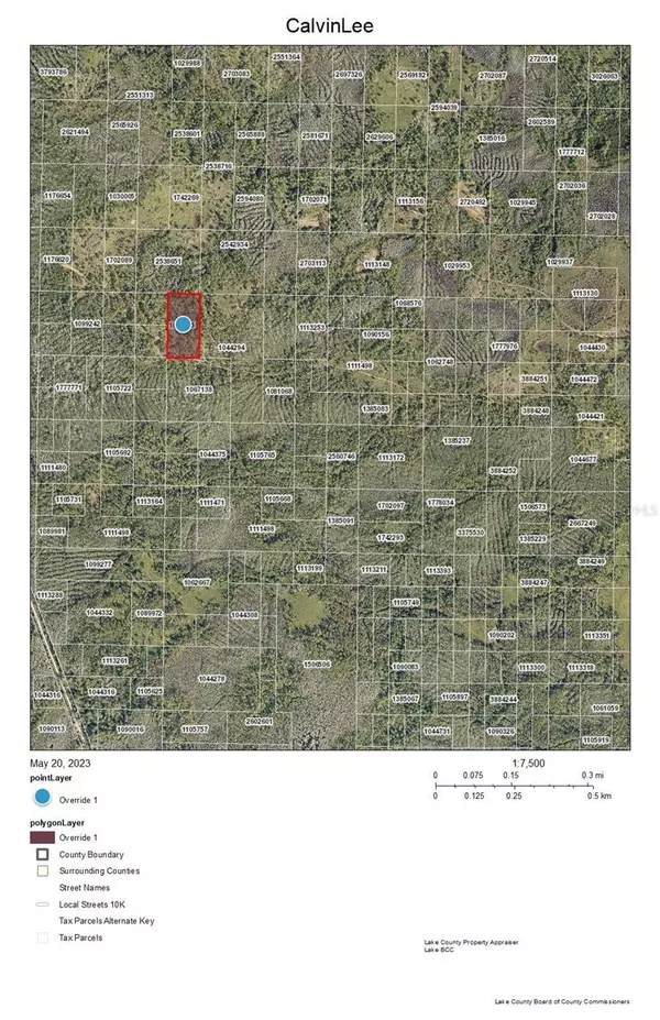 CALVIN LEE RD, Clermont, FL 34711