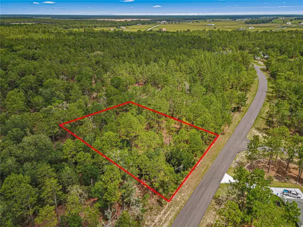 Wildwood, FL 34785,TBD COUNTY ROAD 243B