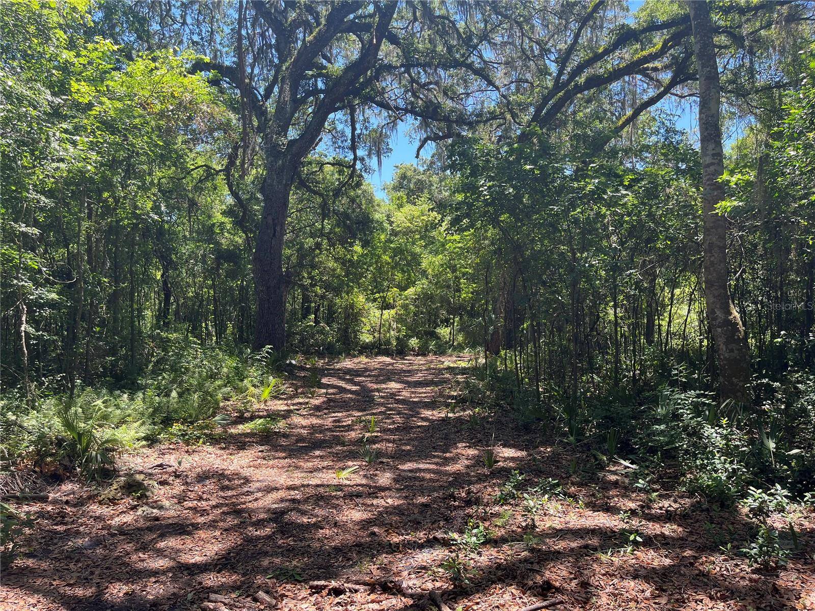 1999 SW 83RD PL, Bushnell, FL 33513