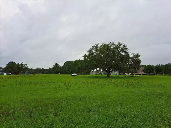 Clermont, FL 34714,OCILLA LOOP