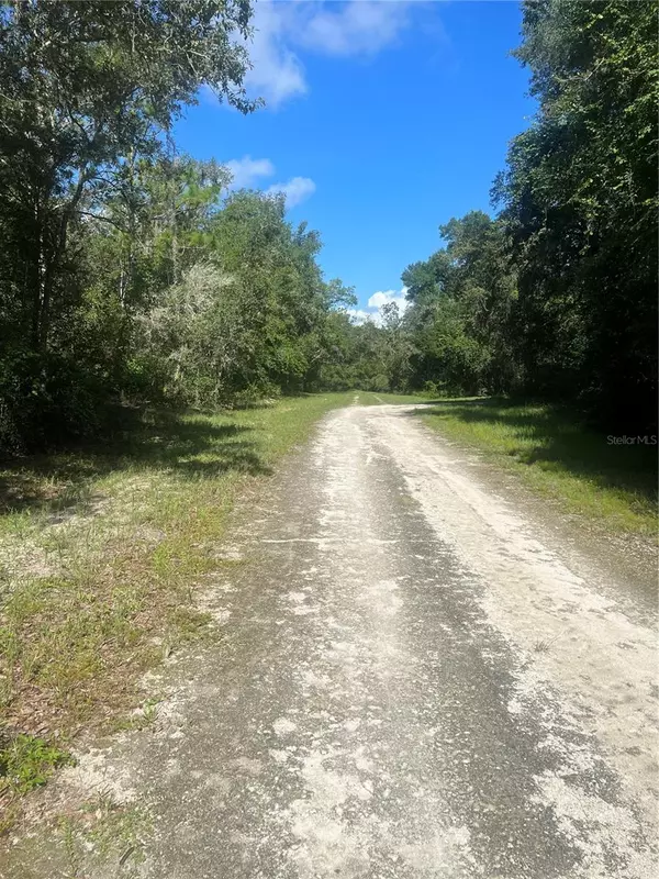 Webster, FL 33597,35422 KOLA DR