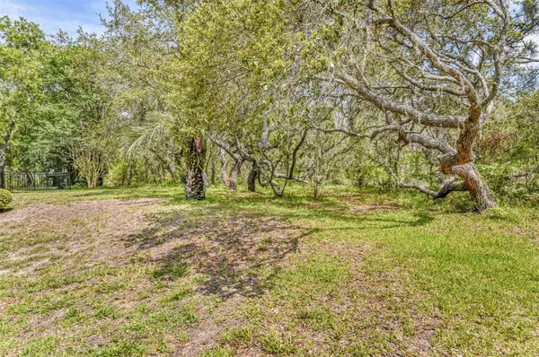 Homosassa, FL 34446,42 BLACK WILLOW ST